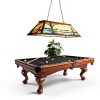 Tochic Farmhouse Pool Table Lamp Black Billiard Lighting-2