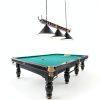 LuoliiTa Antler Pool Table Light Metal Design Home Billiards-2
