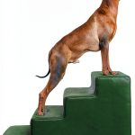 Noah Paw Dog Stairs Leather Steps for Small Large Pets-0