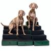 Noah Paw Dog Stairs Leather Steps for Small Large Pets-6