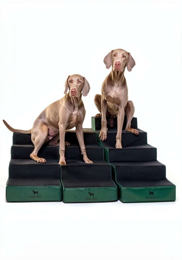 Noah Paw Dog Stairs Leather Steps for Small Large Pets-6