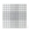 Cell Counting Chamber Pulsecore Neubauer Hemocytometer Grid 32x75mm-2